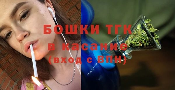 гидра Михайловск