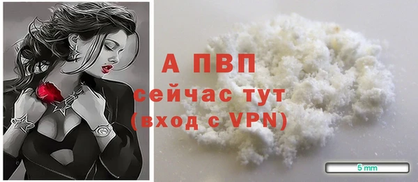 гидра Михайловск