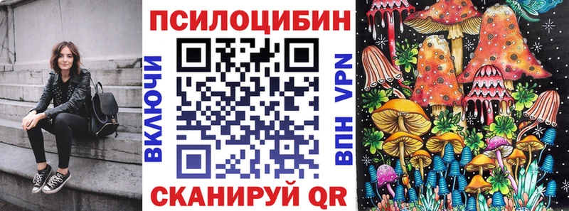 Галлюциногенные грибы Psilocybine cubensis  Сочи 