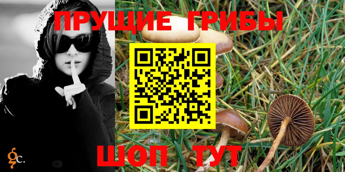 Псилоцибиновые грибы Magic Shrooms Сочи