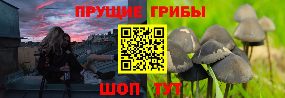 Псилоцибиновые грибы ЛСД  Вход с VPN  Галлюциногенные грибы Cubensis  Сочи 